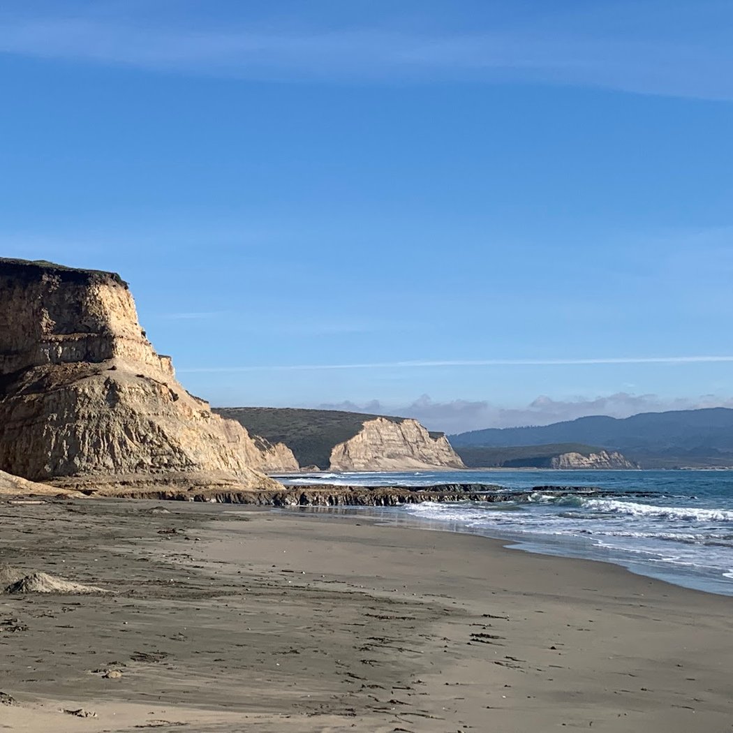 Visit Elephant Seals Drakes Beach 2