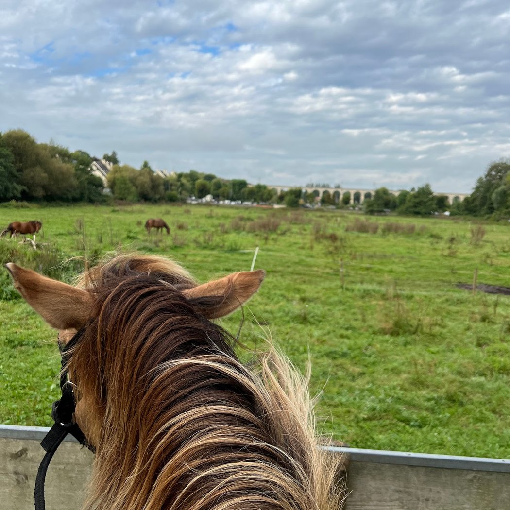 Espace Equestre Henson - Chantilly 2