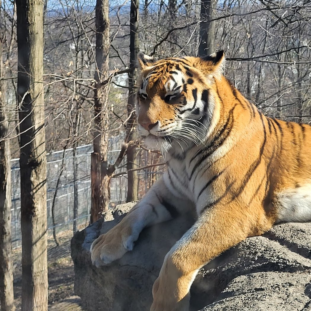 Rosamond Gifford Zoo 2
