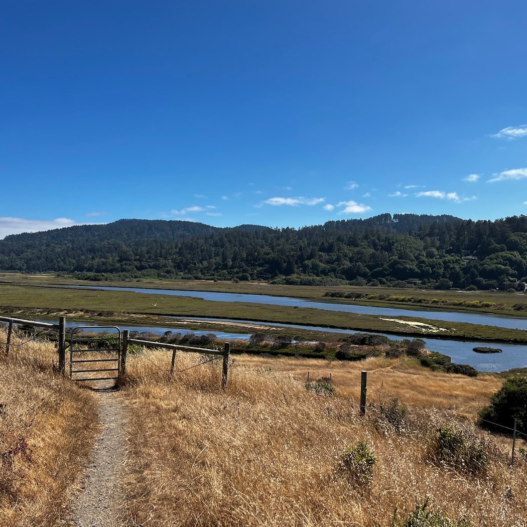 Tomales Bay Trailhead 2