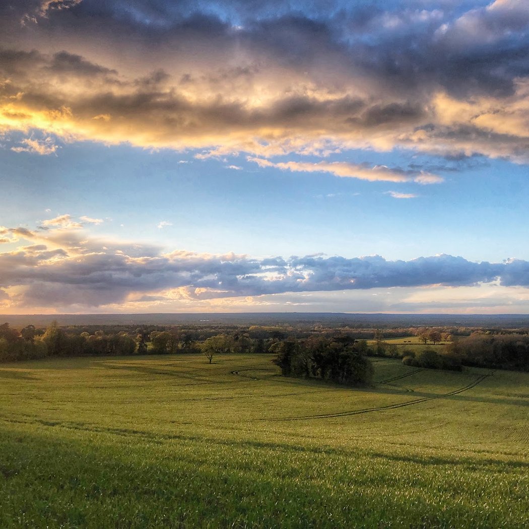 North Downs Way 1