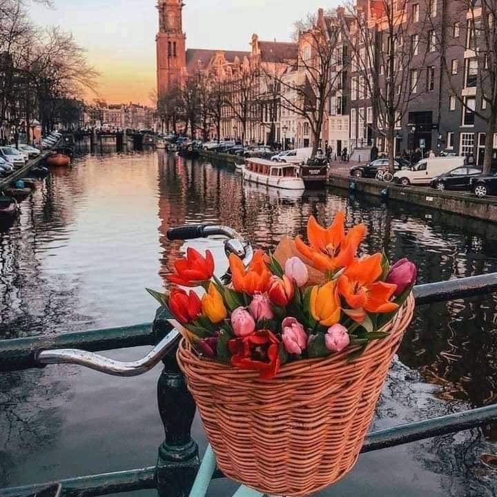 Amsterdam 2