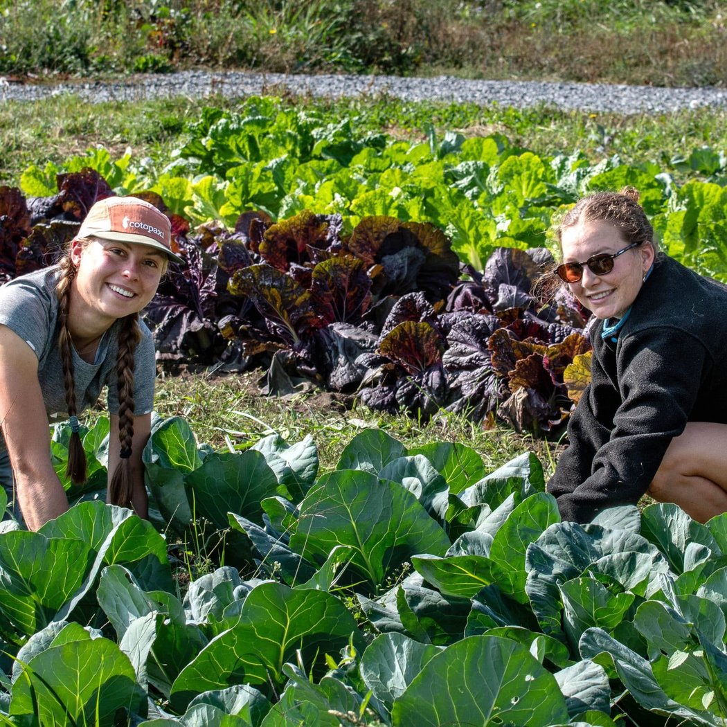 Volunteering: Farm Stewardship 1