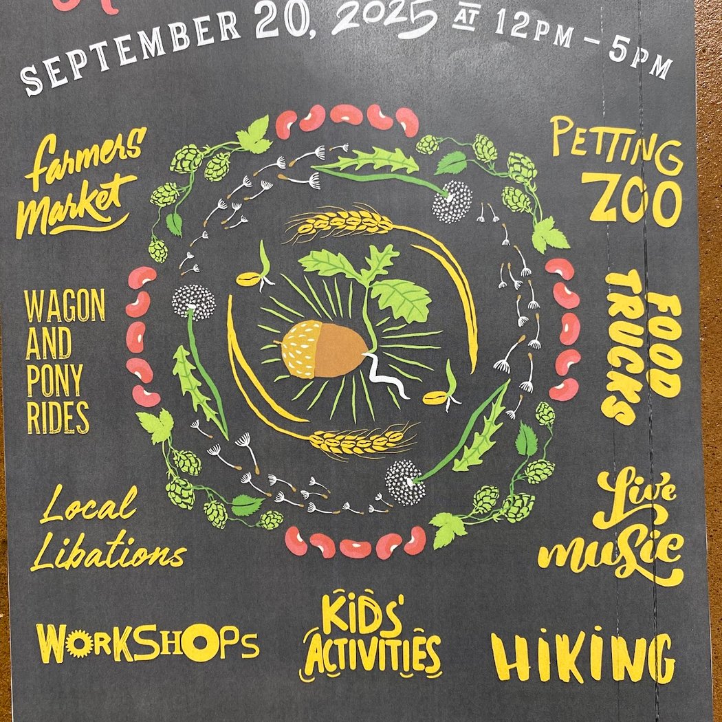 Seeds & Grains Festival 1