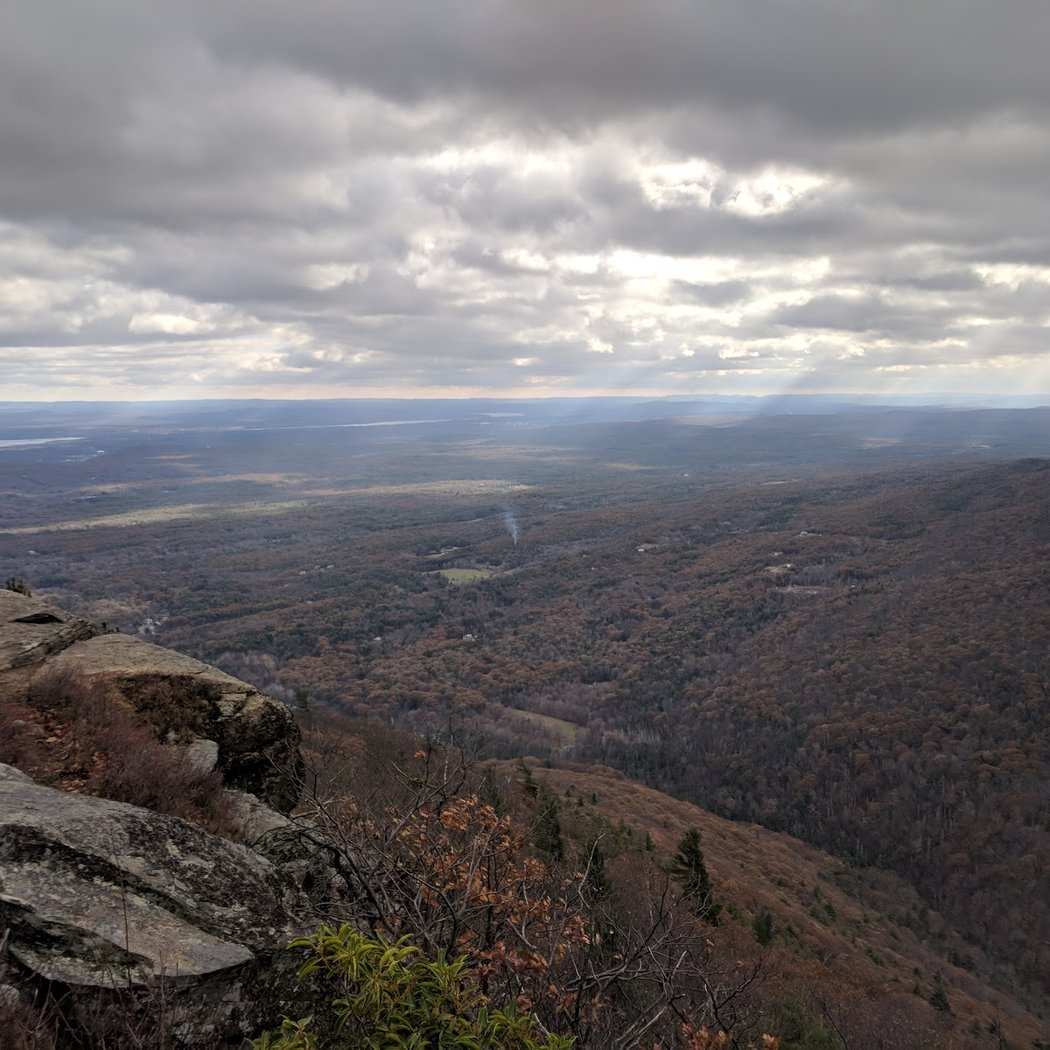 Huckleberry Point Trail 2
