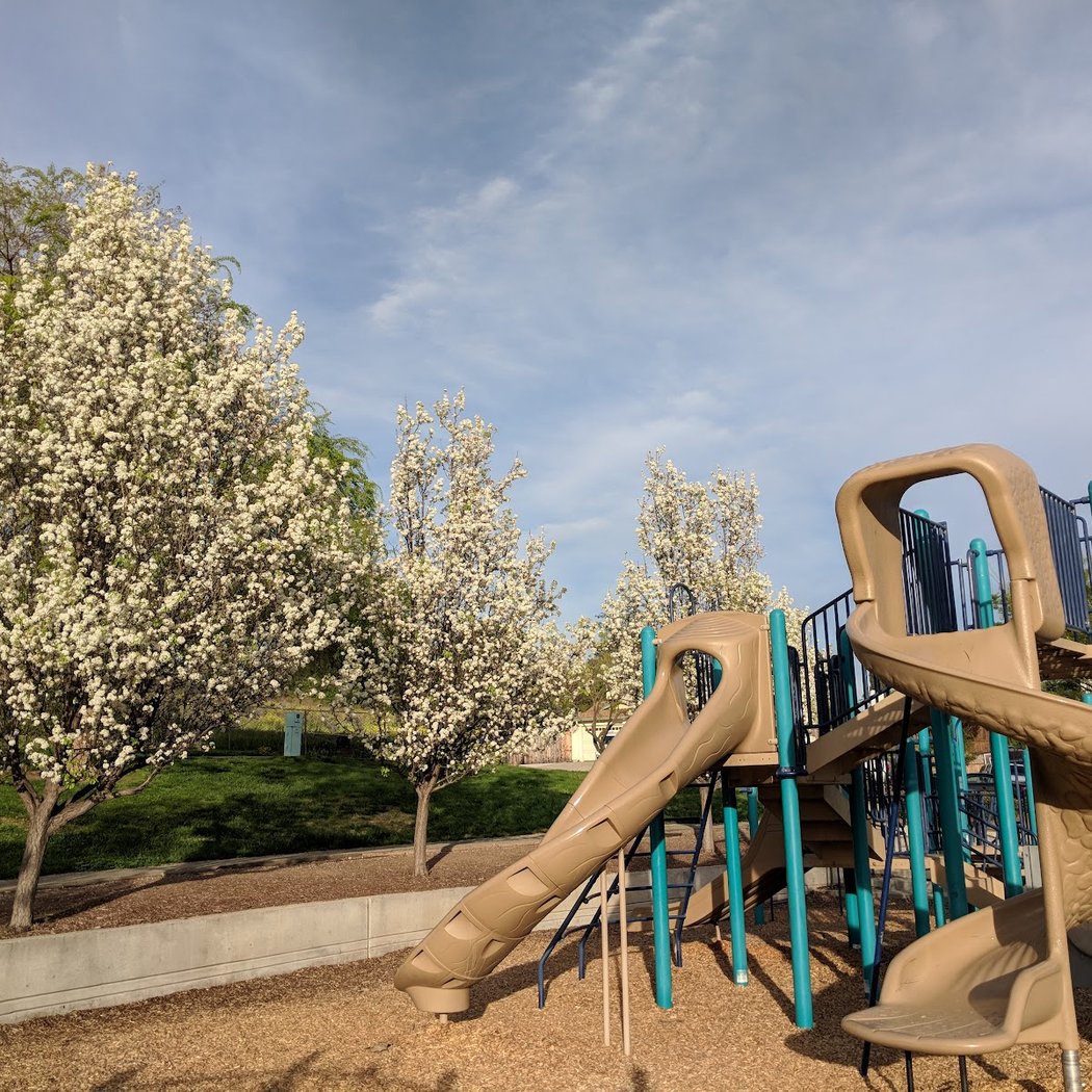 Vista Meadows Park 4