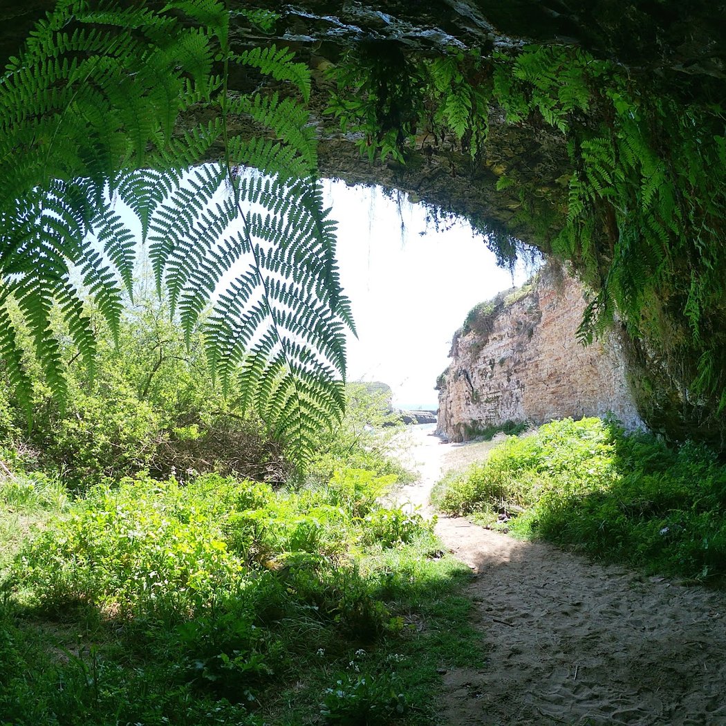 Fern Grotto Beach 1