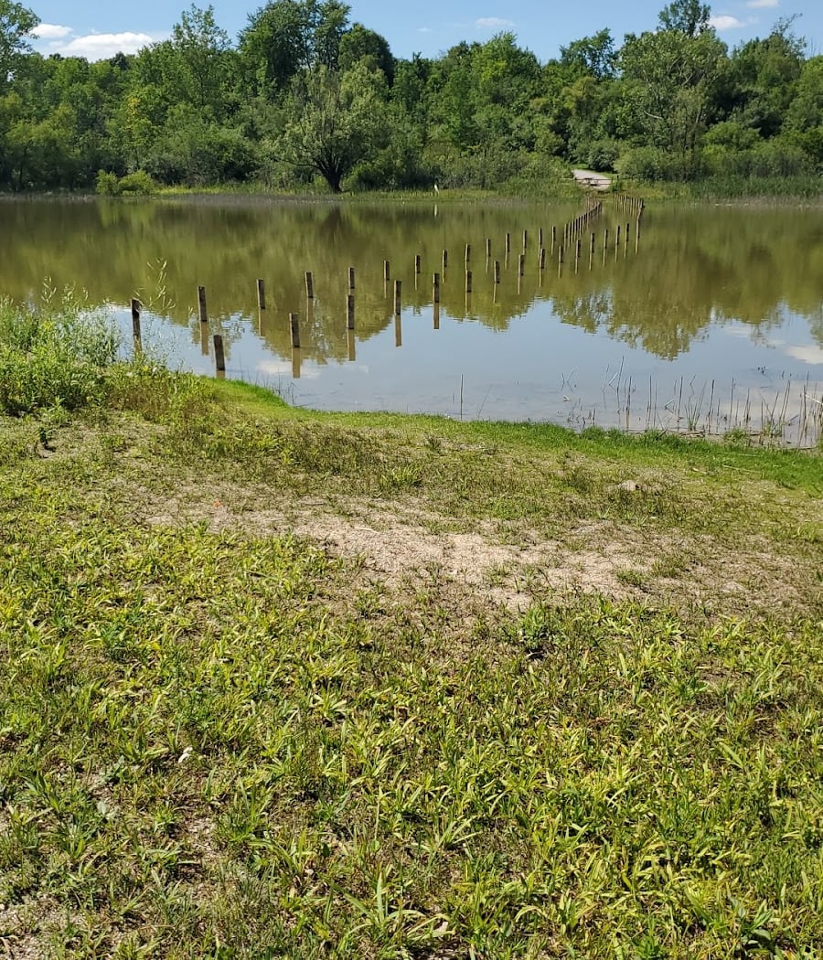 Lillie parkrun, Ann Arbor 2