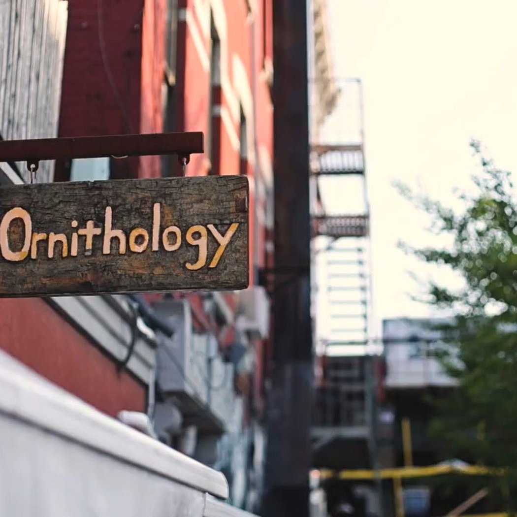 Nightly Live Jazz at Ornithology 3