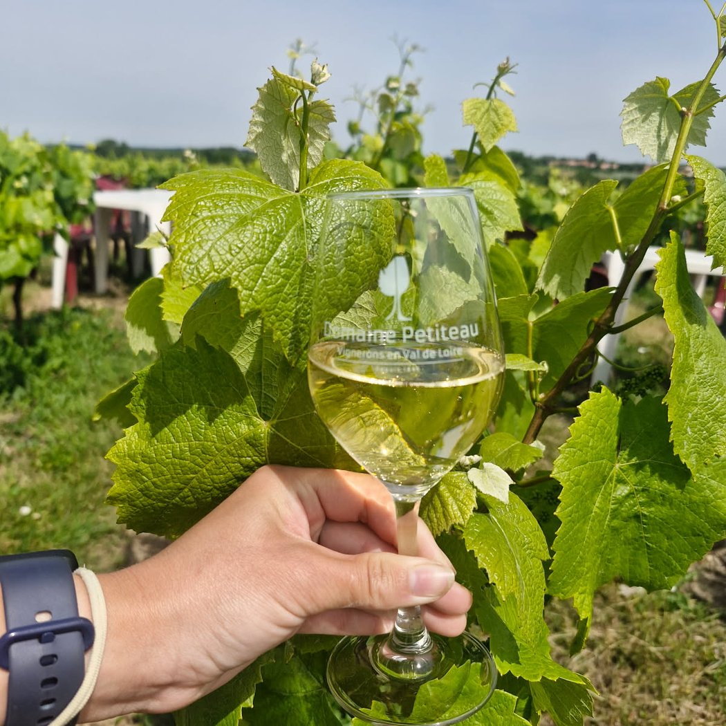 Domaine Petiteau 1