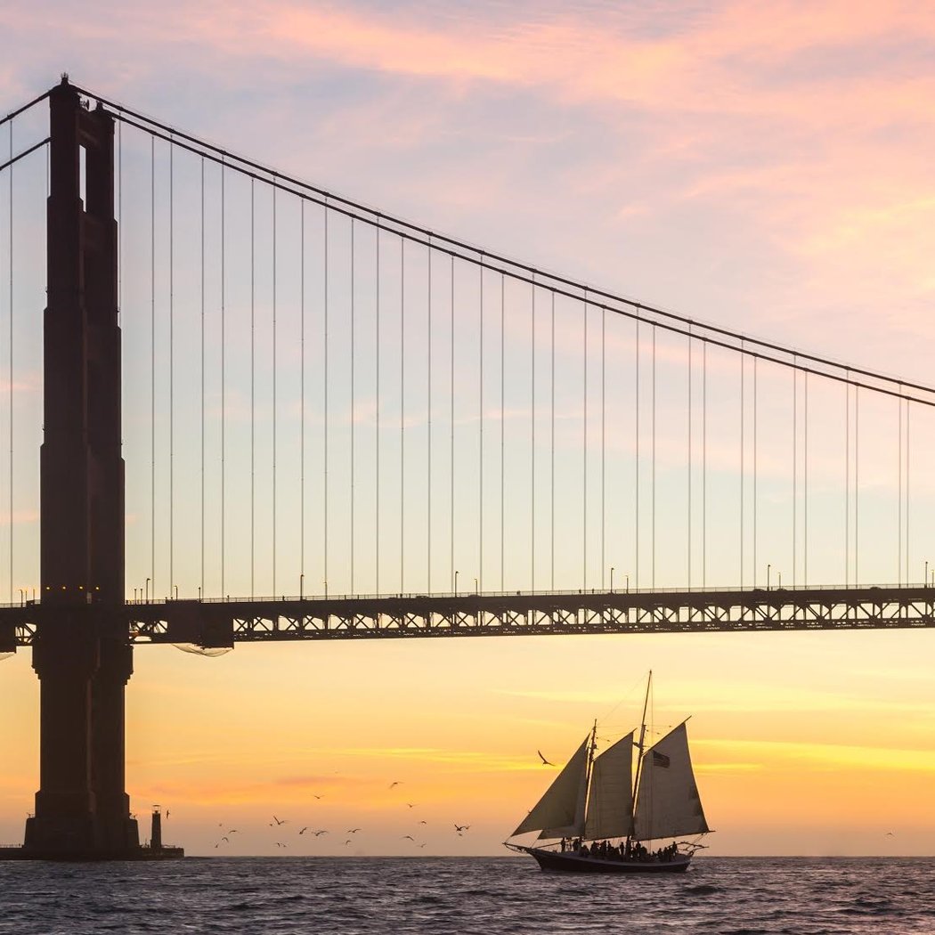 Wildlife Sail under the Golden Gate Bridge