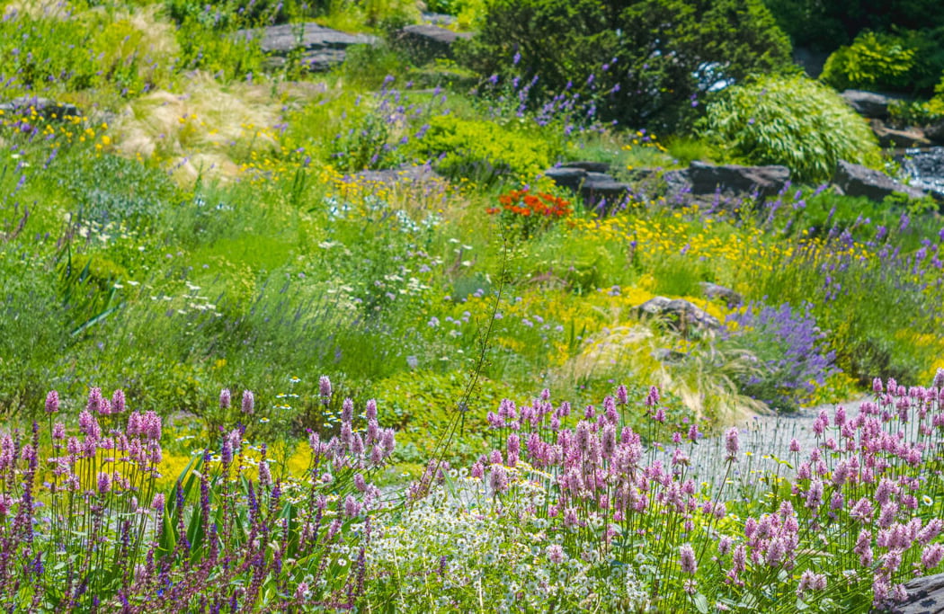 Rock Garden Tour 1