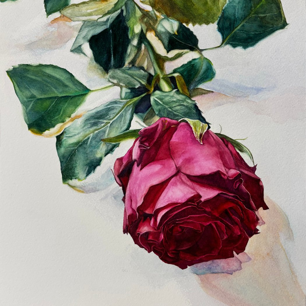 440 Gallery 1
