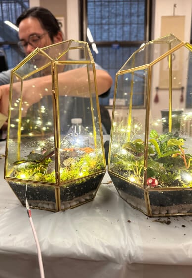 Sip & Plant 3