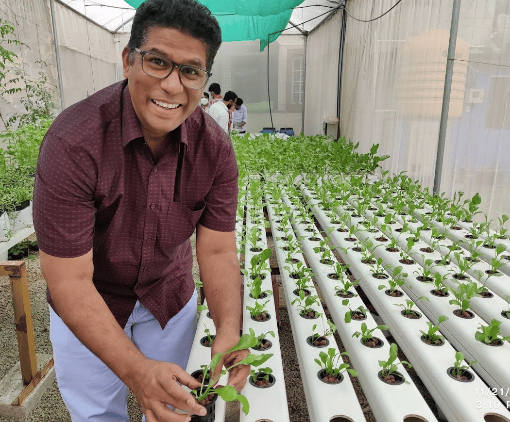 BeLesiri - Hydroponics Training and consultancy 1