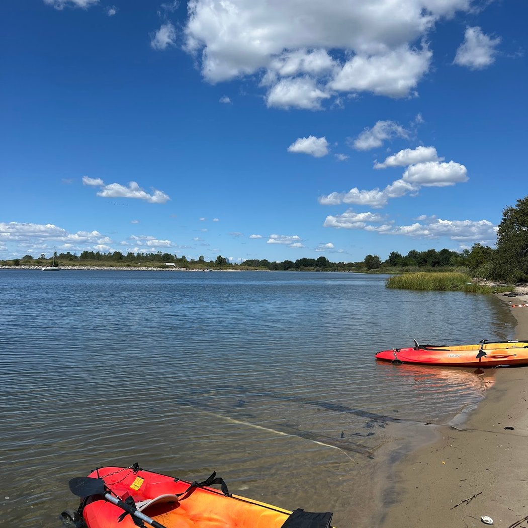 Wheel Fun Rentals | Marine Park