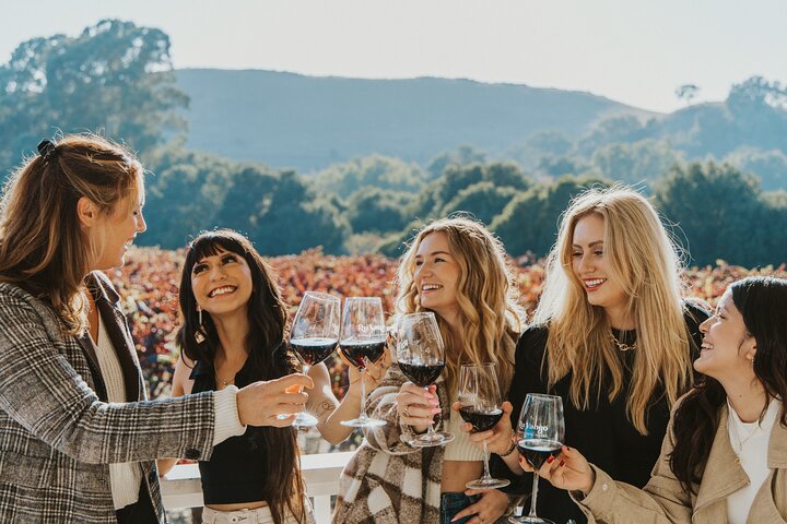  Small Group: Ultimate Napa and Sonoma Wine Tour- San Francisco 1