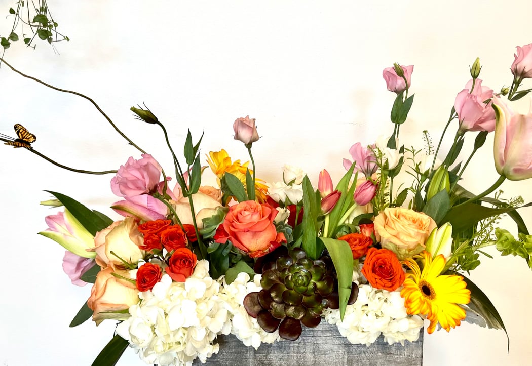 Bloomies Studio 2