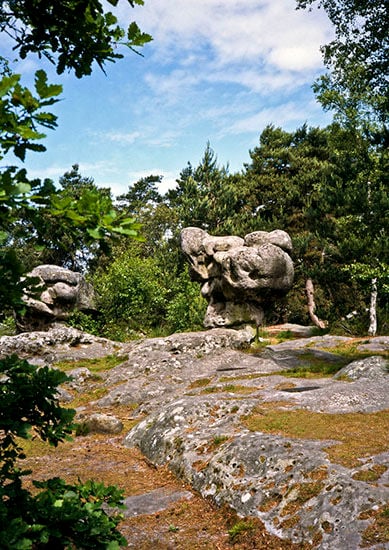 Forêt Domaniale de Rambouillet 2