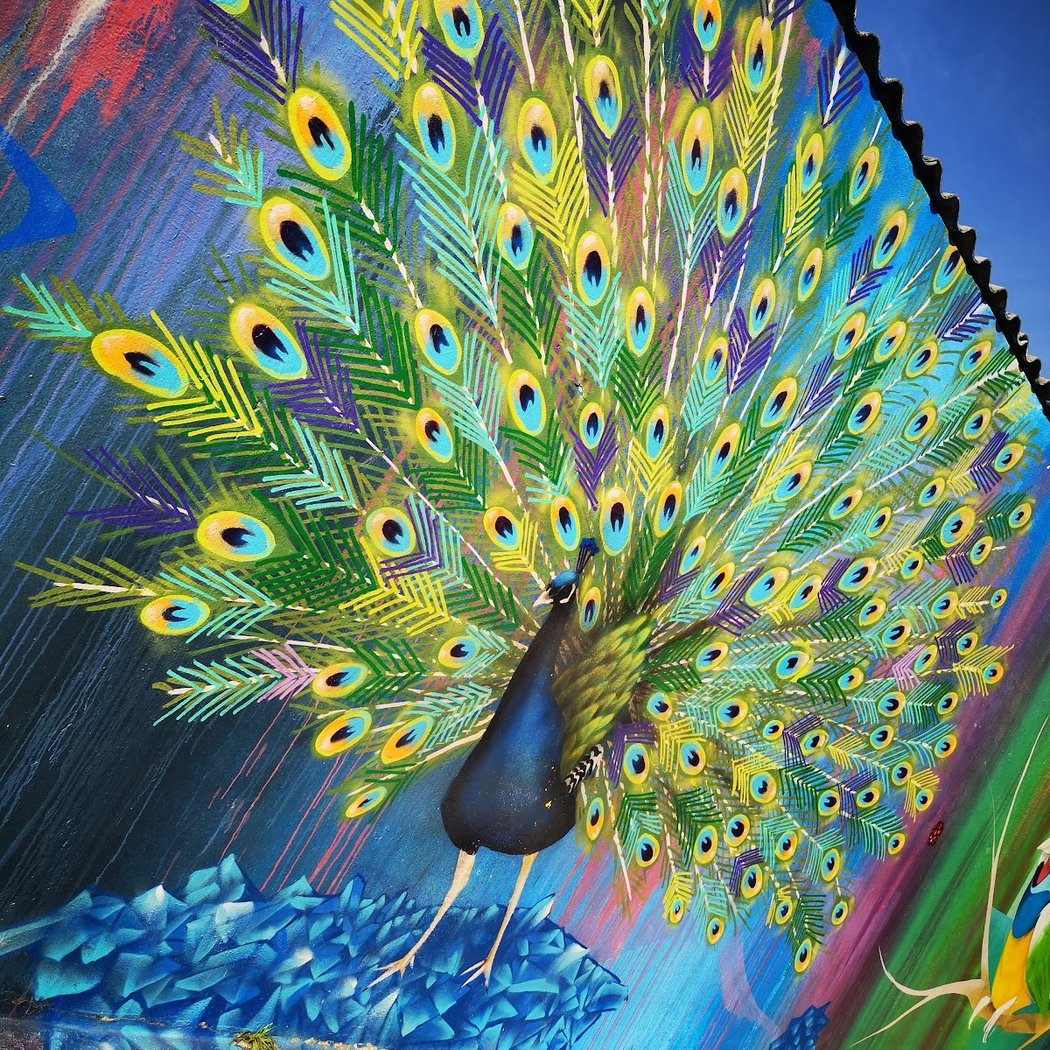 Galeria Alma da Rua 1