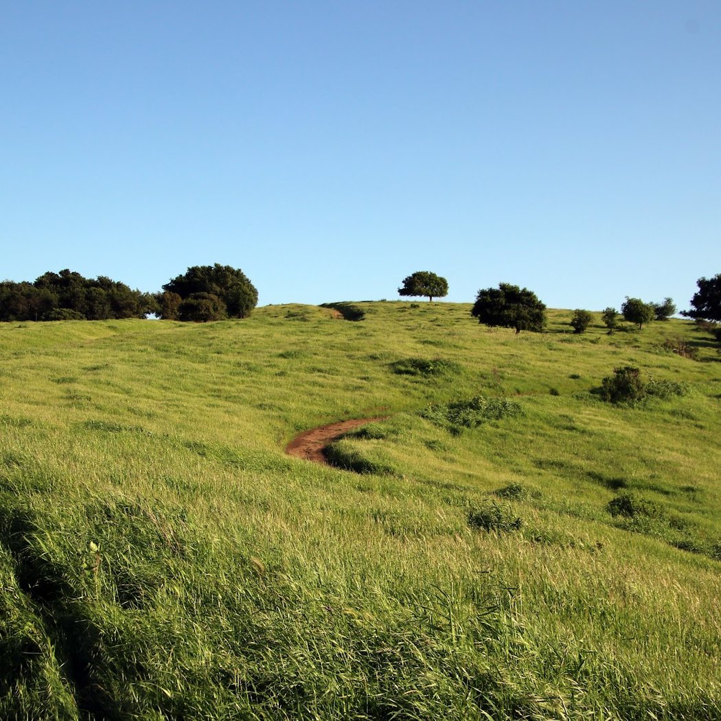 Crockett Hills Regional Park 1