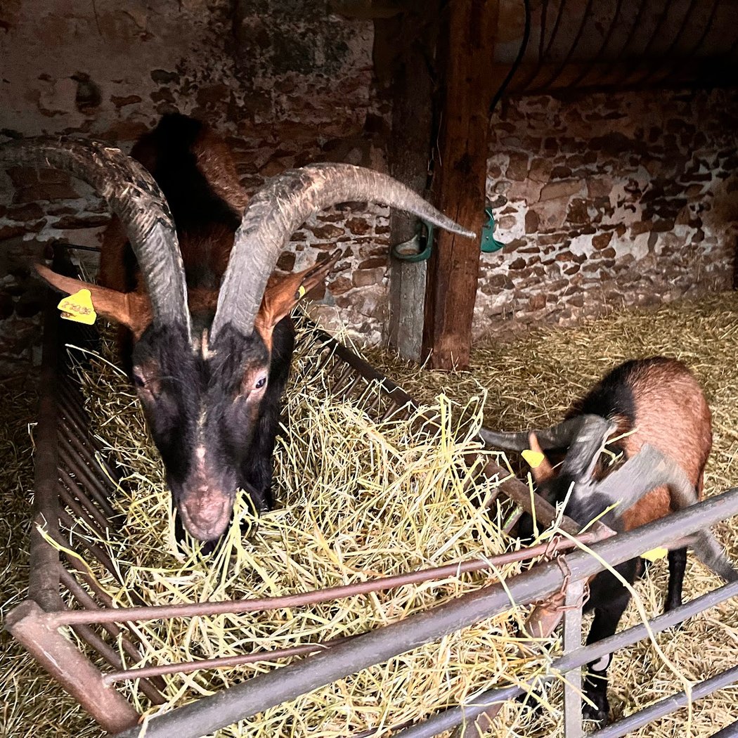 The farm Chauvry 1