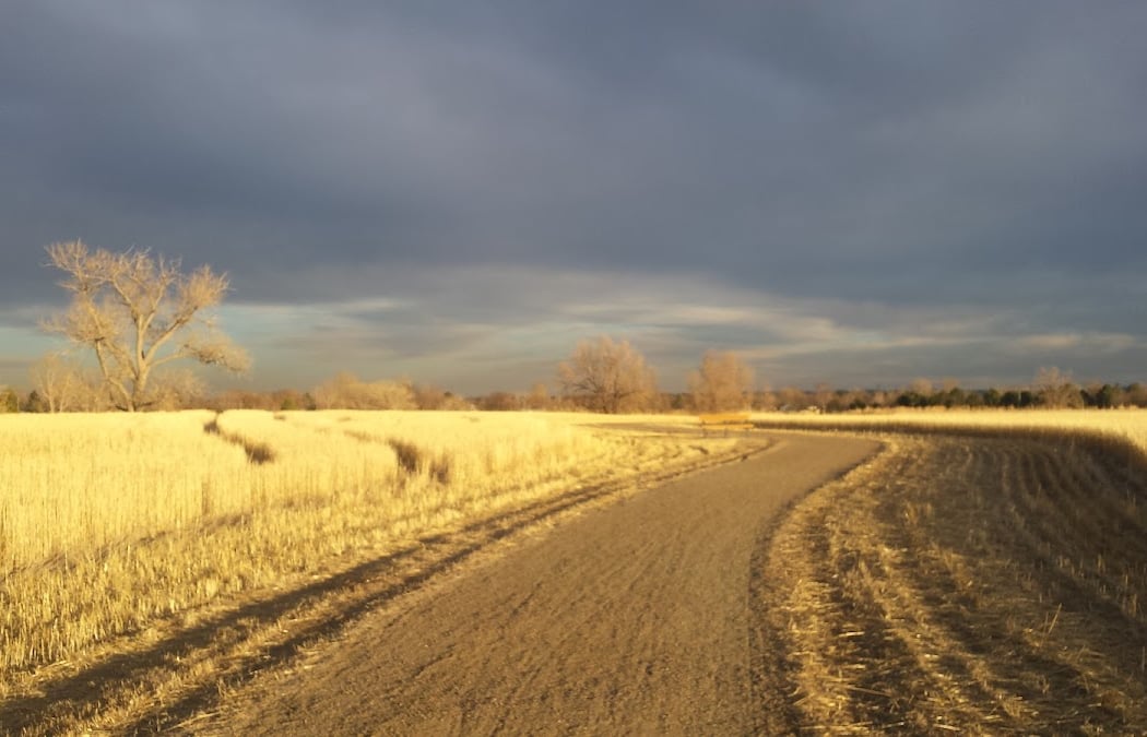 Open Space Clean-up 3