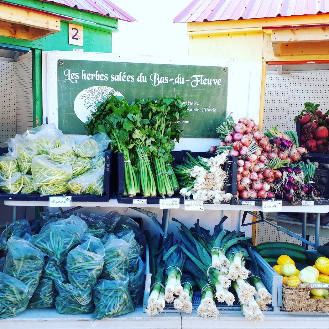 Marché public de la Mitis 1