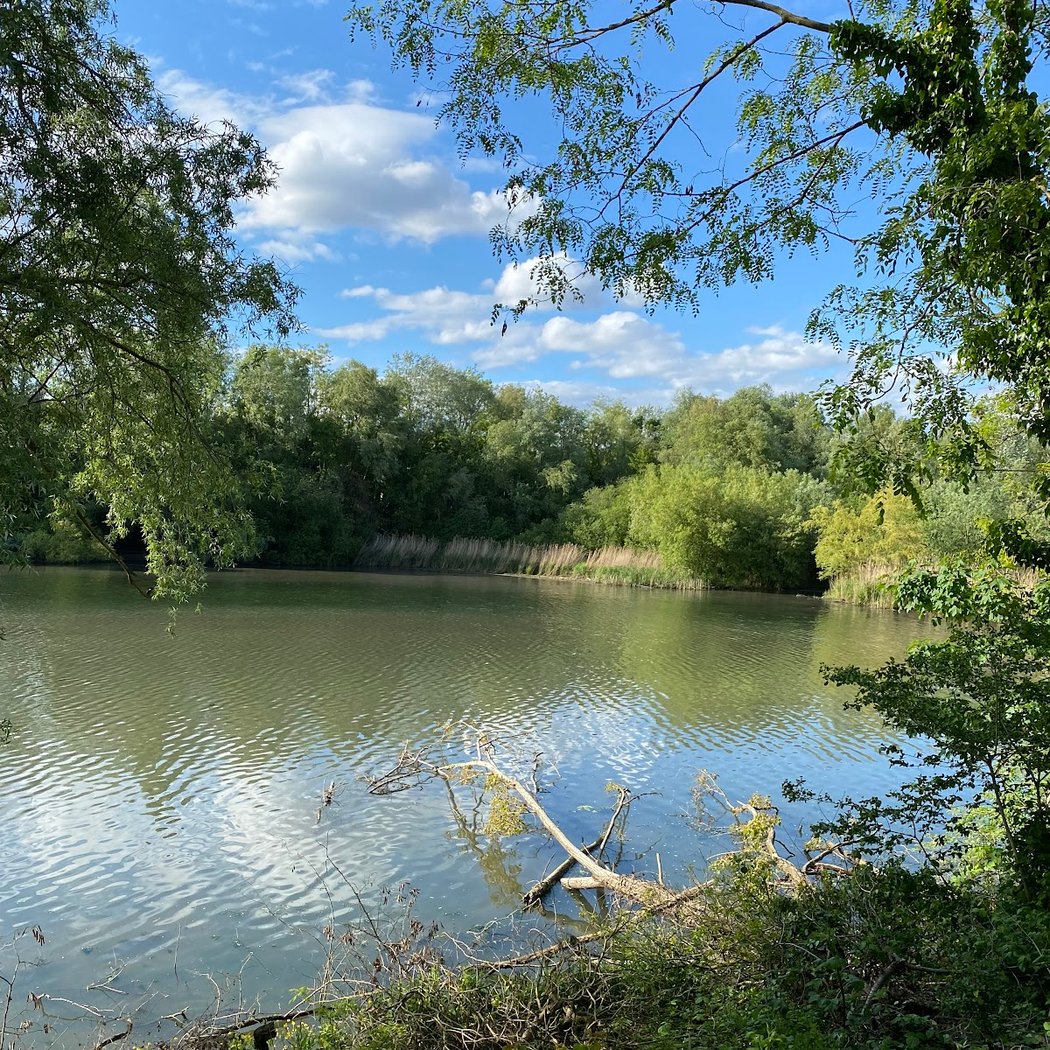 Réserve naturelle Régionale du bassin de la Bièvre 3