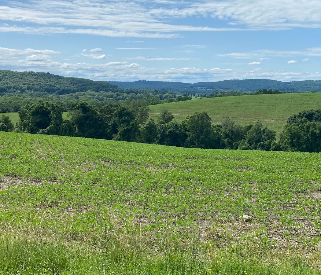 Harlem Valley Rail Trail 2