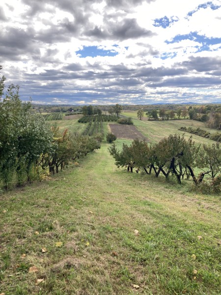 Mead Orchards 3