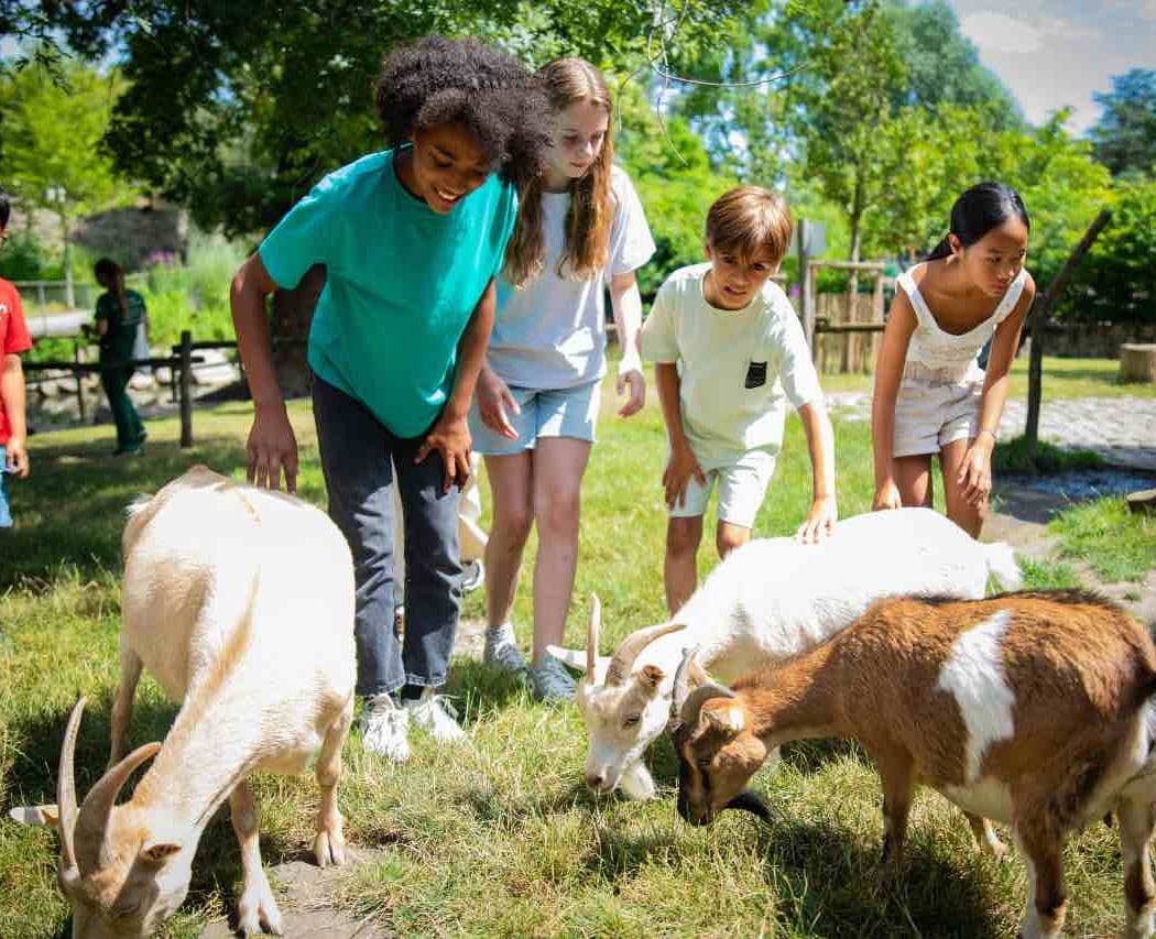 La Ferme de la Villette 4