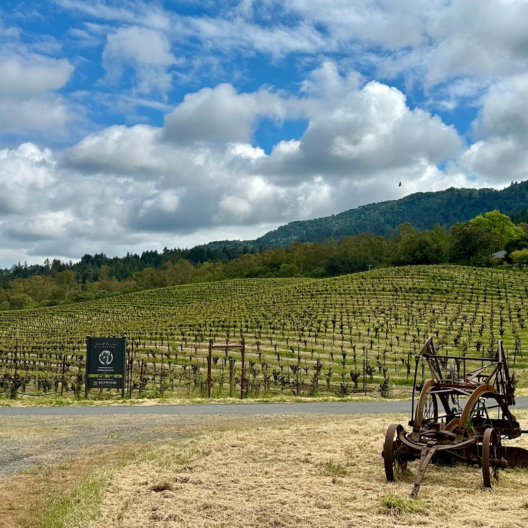 Mother’s Day Piano Concert 5