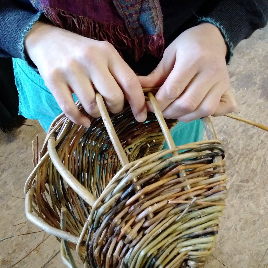 Forage and Craft: Building Baskets in the Woods