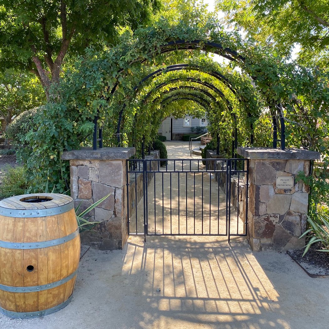 Music in the Vineyards 3