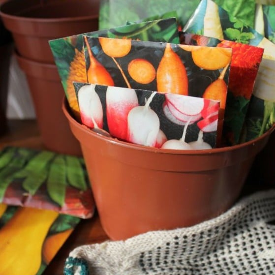 Seed Packets Demystified 1