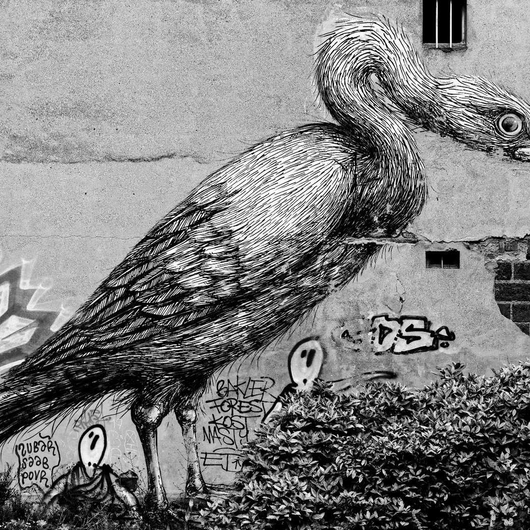 Street art -l'Héron 1