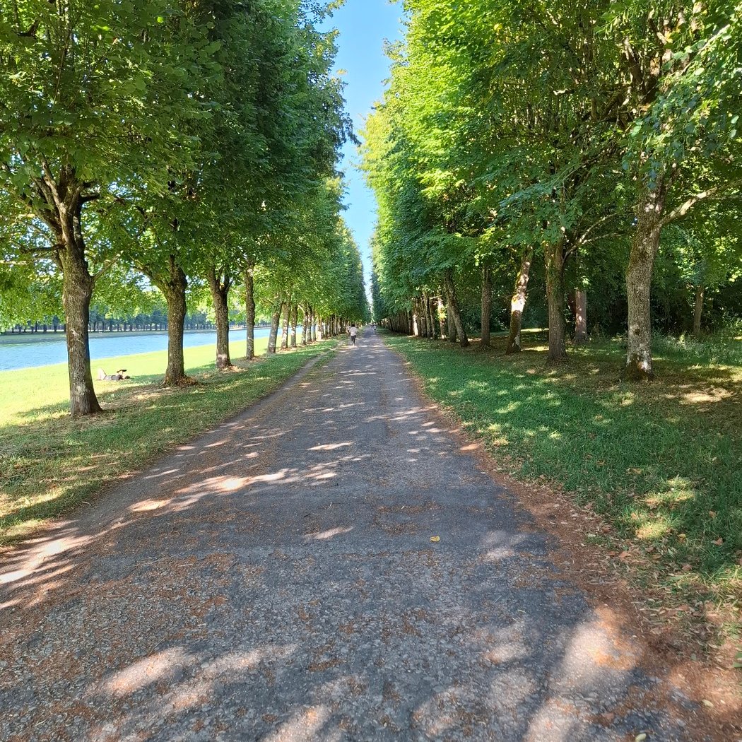 Canal du château de Fontainebleau 3