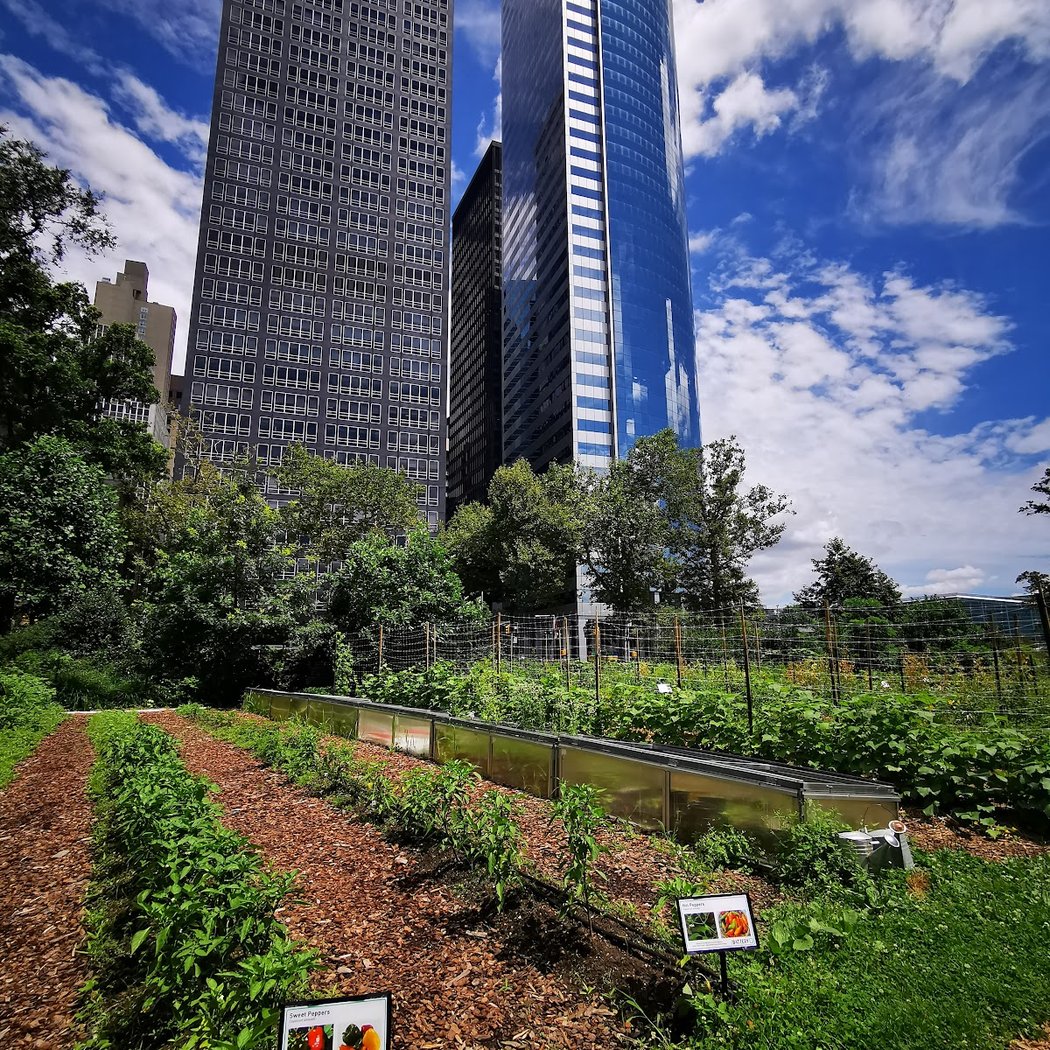 Perennial Gardens Volunteer Morning