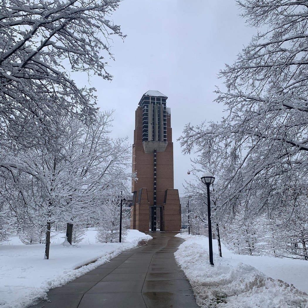 Lurie Bell Tower 5