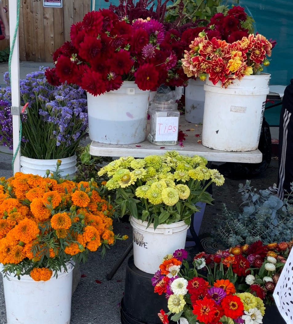 Pacifica Coastside Farmers Market 1