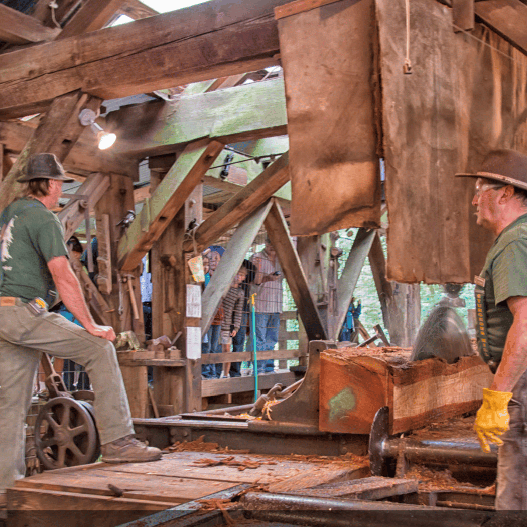 Sturgeon's Mill Restoration Project 1