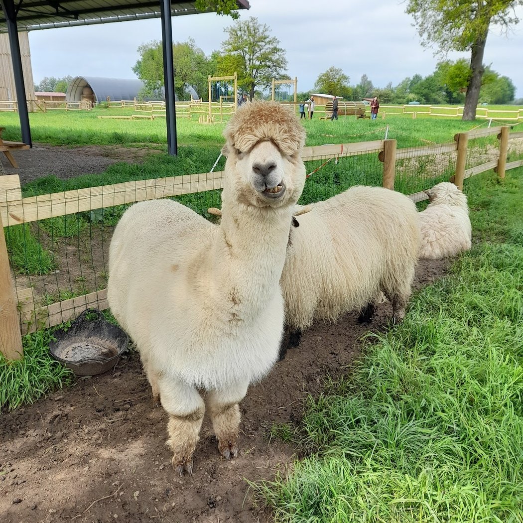 GAEC AnimÉcow Ferme pédagogique 2