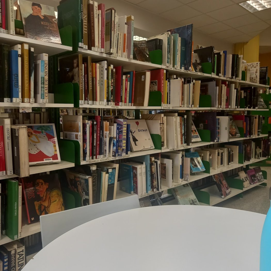Library Stendhal 4