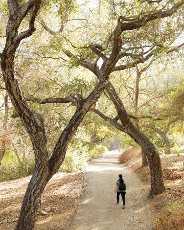 Descanso Gardens 2