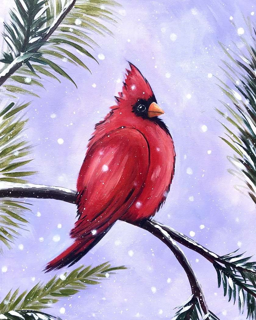 The Bachelor Cardinal 1