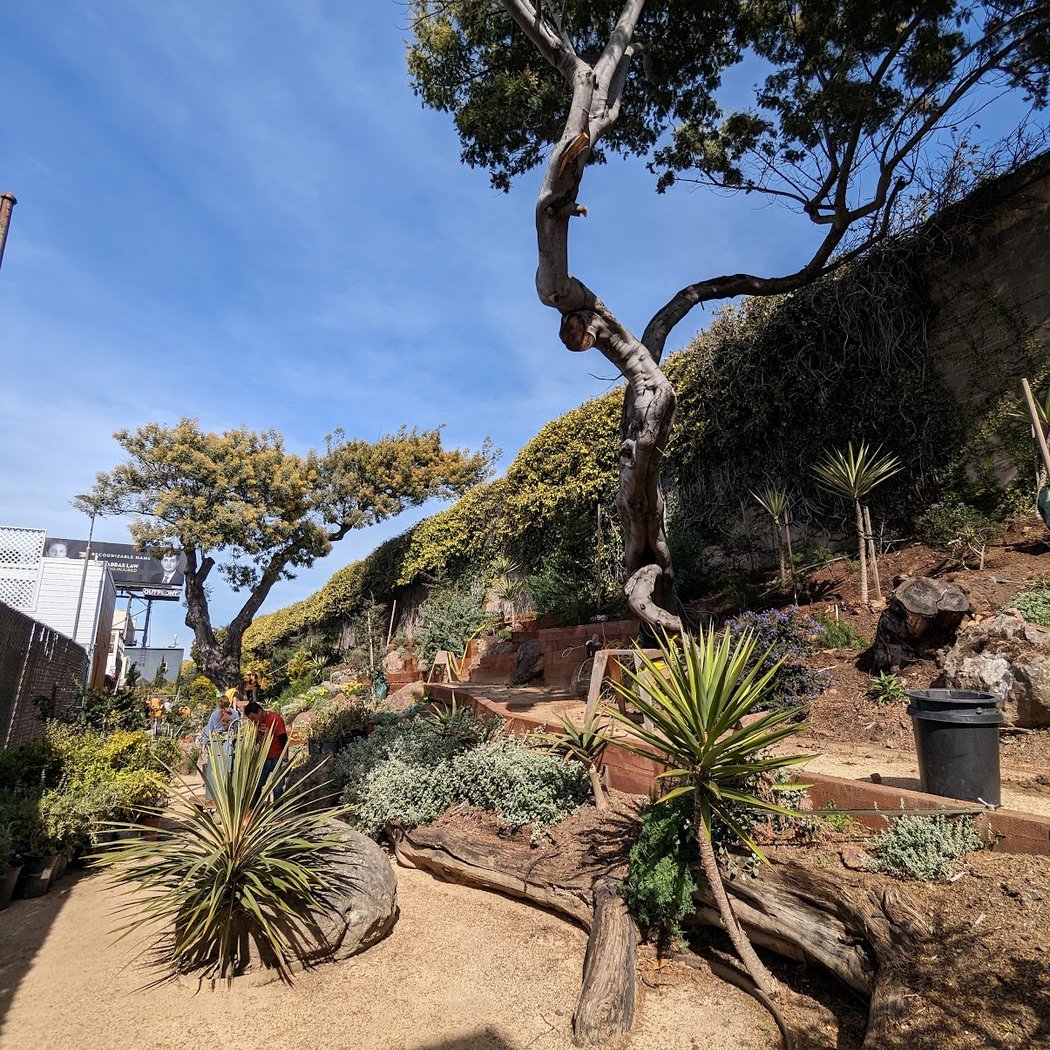 Burrows Pocket Park 3