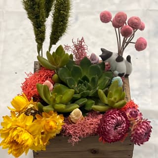 Succulent Treasure Box Class 2