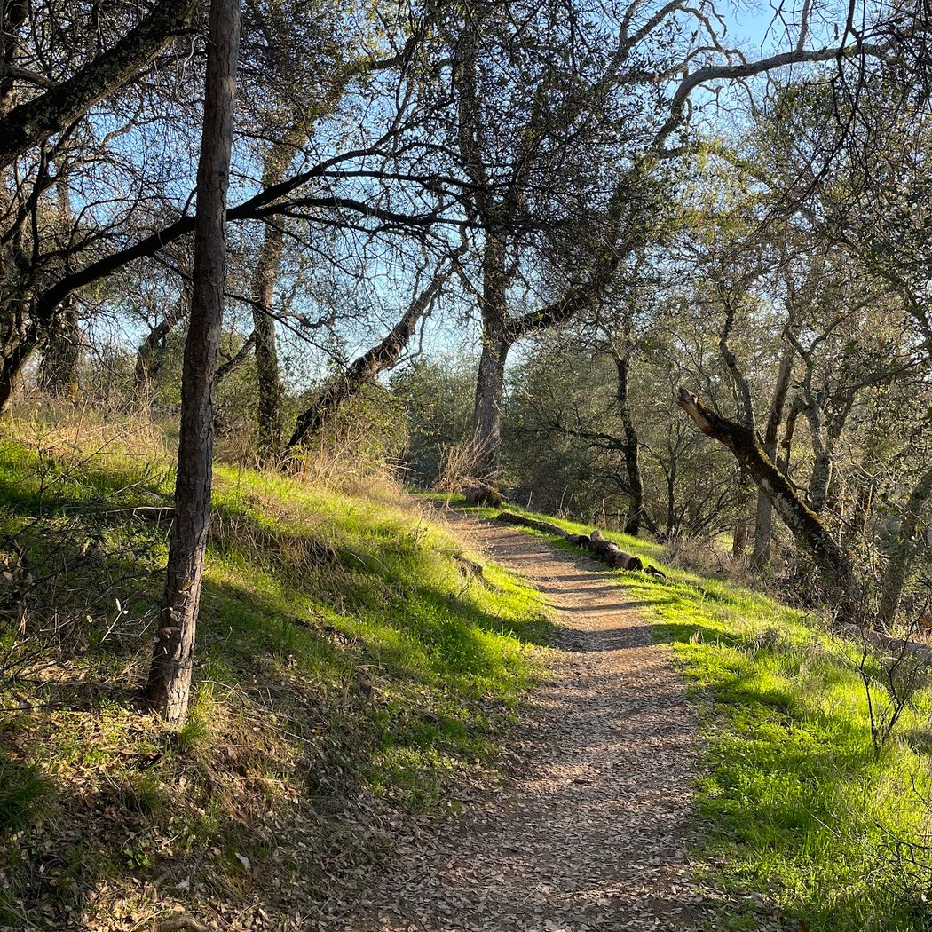 Canyon View Preserve 1