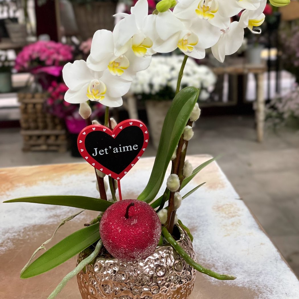 La Jardinerie 1